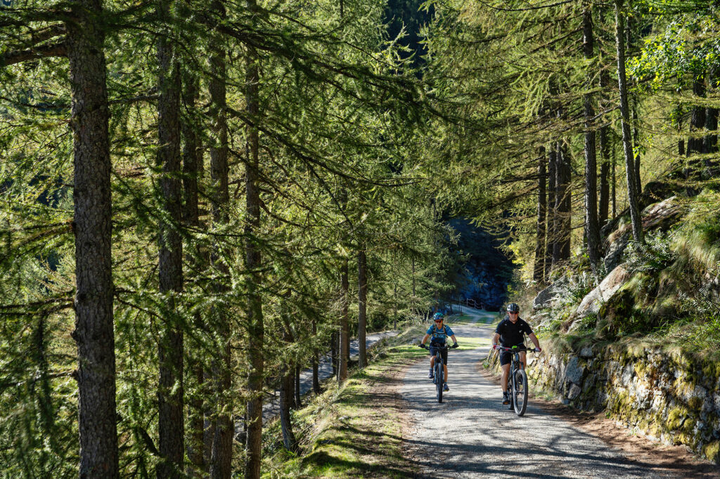 alpi bike experience