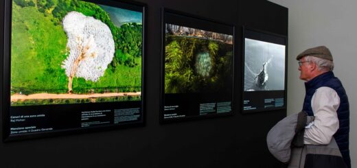 fotografia naturalistica