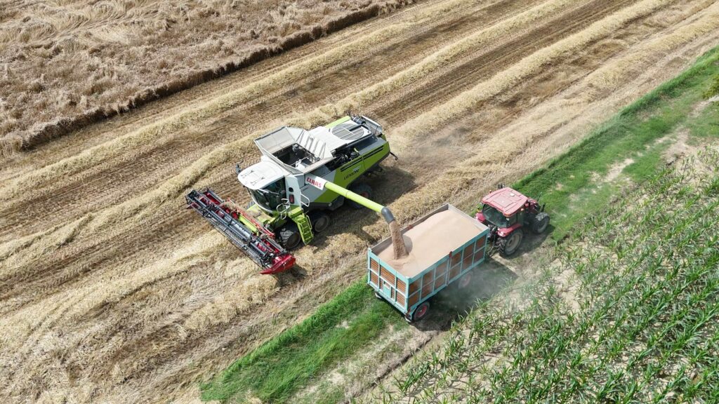 trebbiatura del grano coldiretti torino 2024