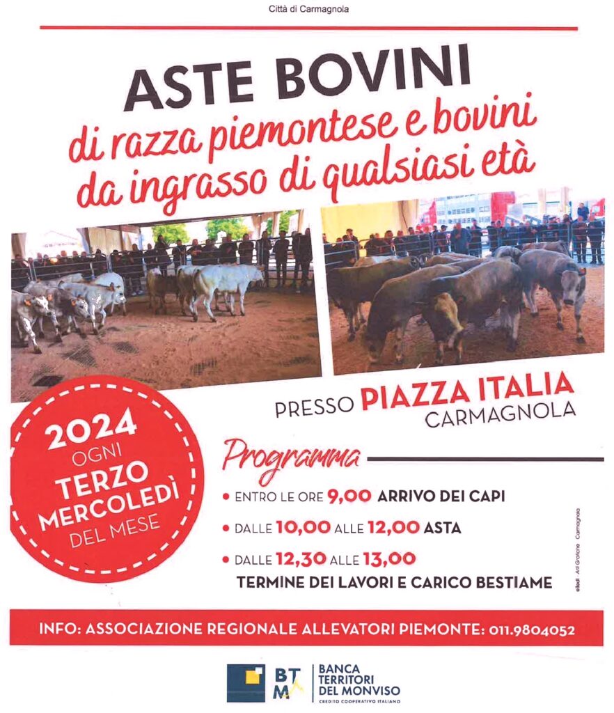 aste dei bovini