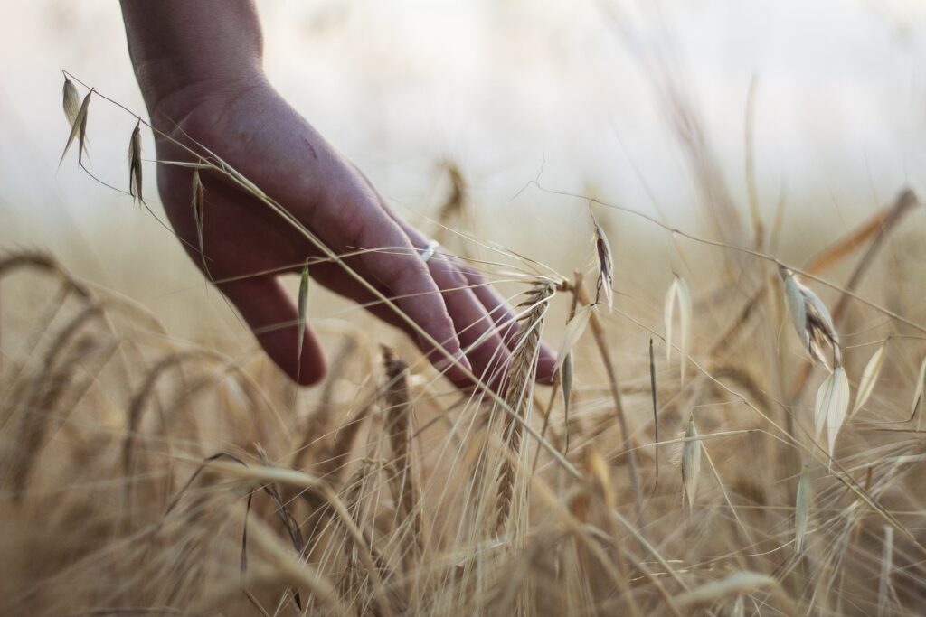 The Good Farmer Award 