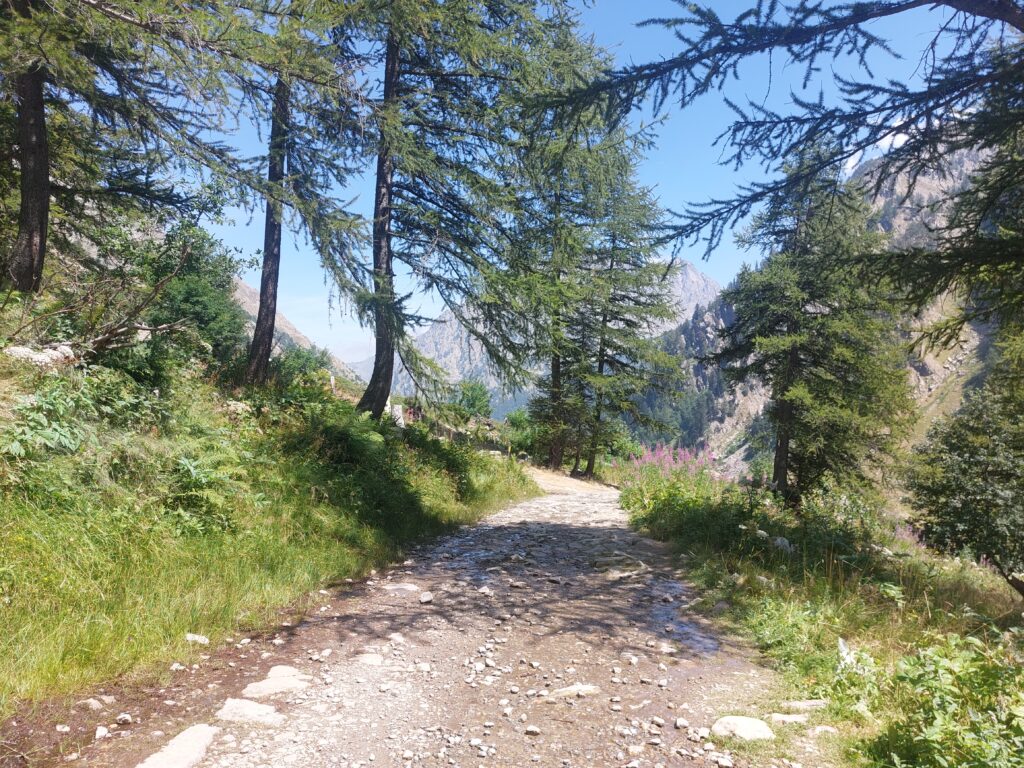 montagna