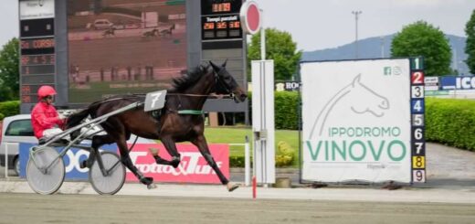 ippodromo di vinovo