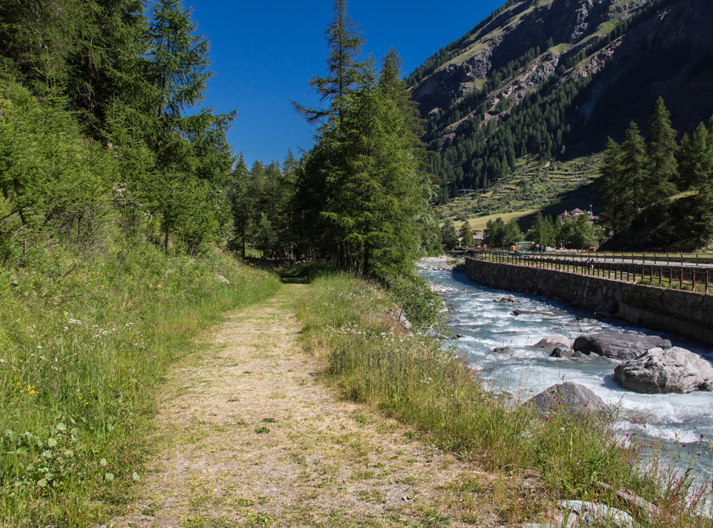 comunicazione in natura