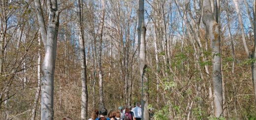 bosco del gerbasso passeggiata