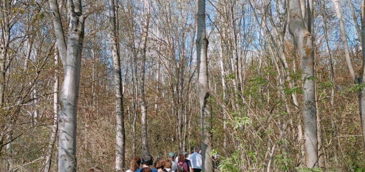 bosco del gerbasso passeggiata