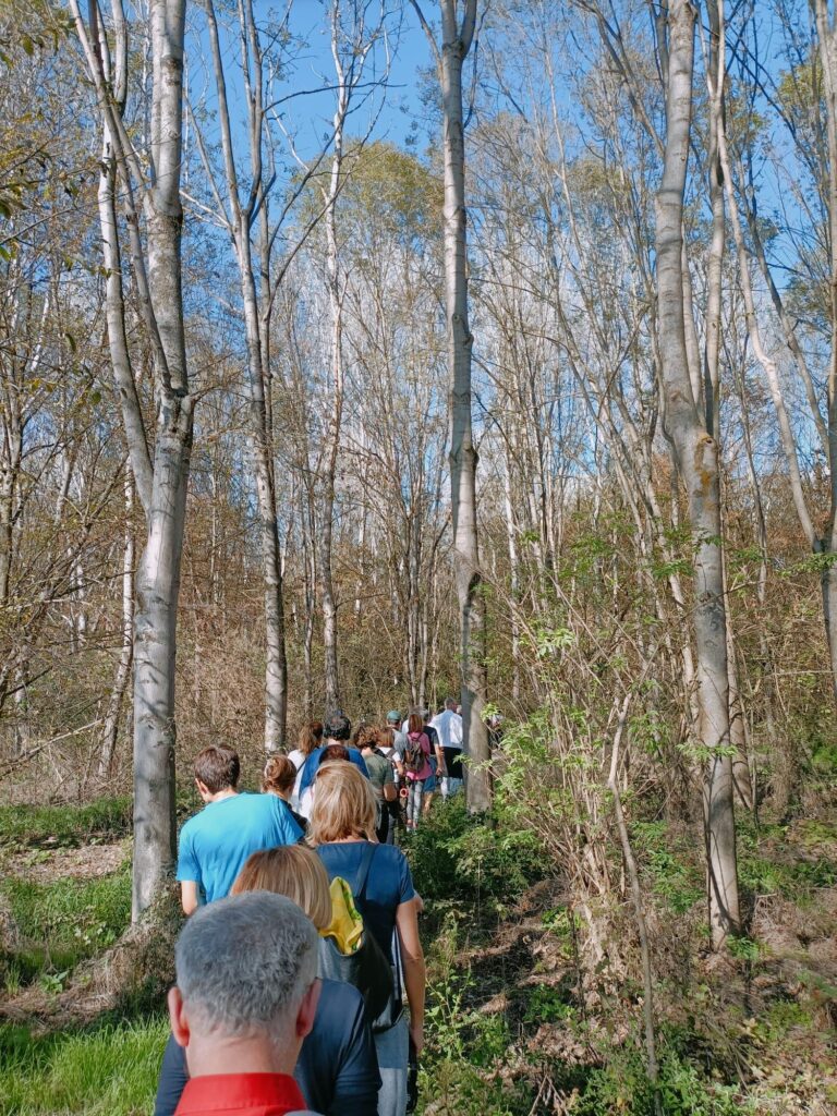 bosco del gerbasso passeggiata