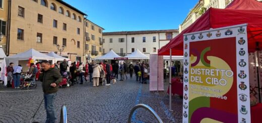 fiera di san martino