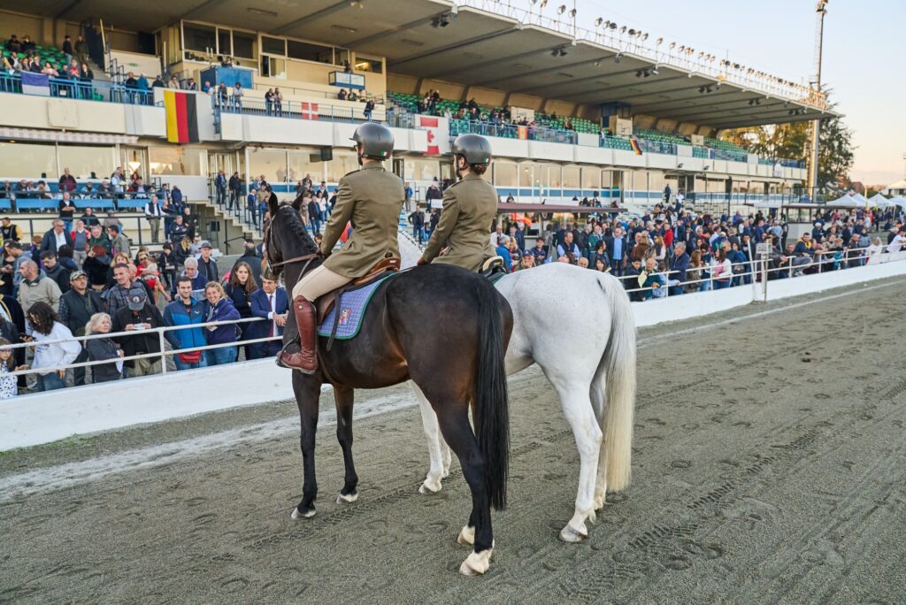 gran premio orsi mangelli